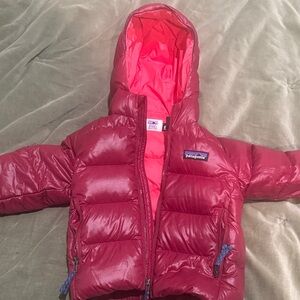 Patagonia Burgundy Hooded Puffer Jacket